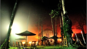 An outdoor seating area with chairs and umbrellas, surrounded by trees and a building in the background. - Cadasa Resort Dalat (Xuan Huong - Da Lat)