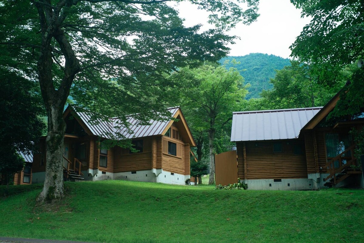 A row of log cabins with metal roofs, surrounded by lush greenery and a mountain in the background.