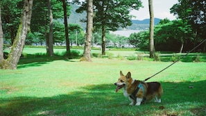 Property grounds - L Hotel DU LAC (Nagahama)