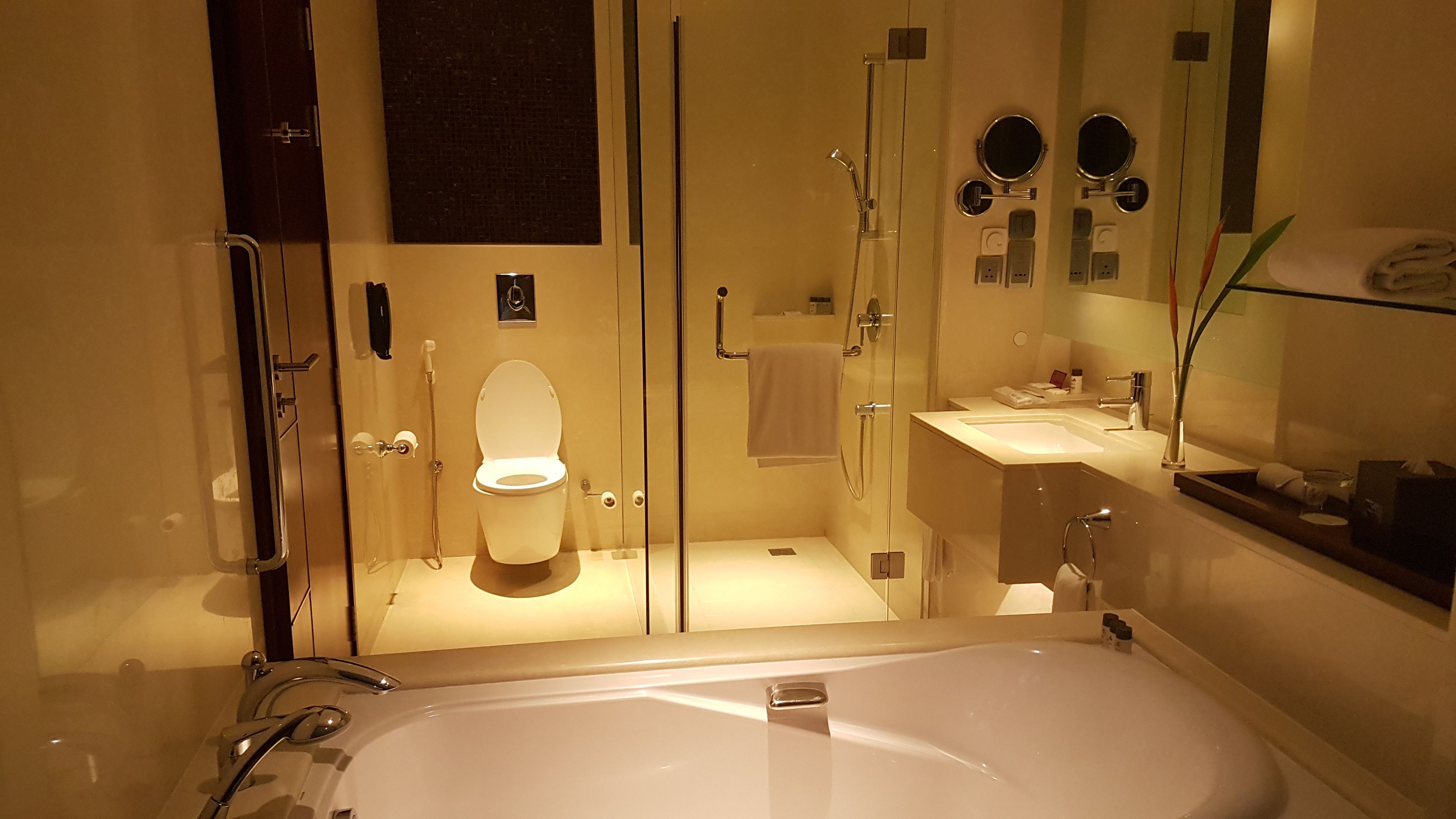 A modern bathroom with a glass-enclosed shower, a toilet, a sink, and a bathtub.
