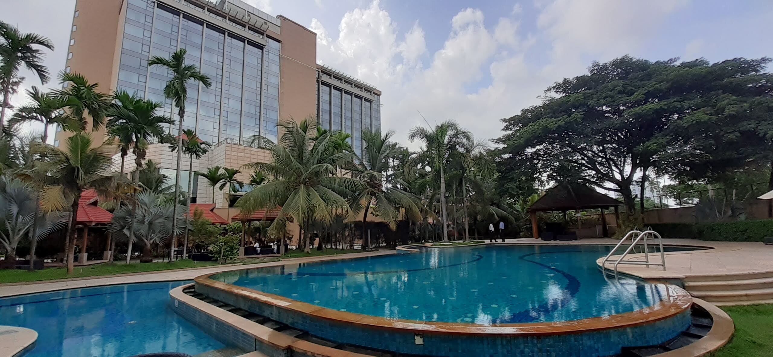 A swimming pool with a curved design, surrounded by palm trees and a building with reflective windows.