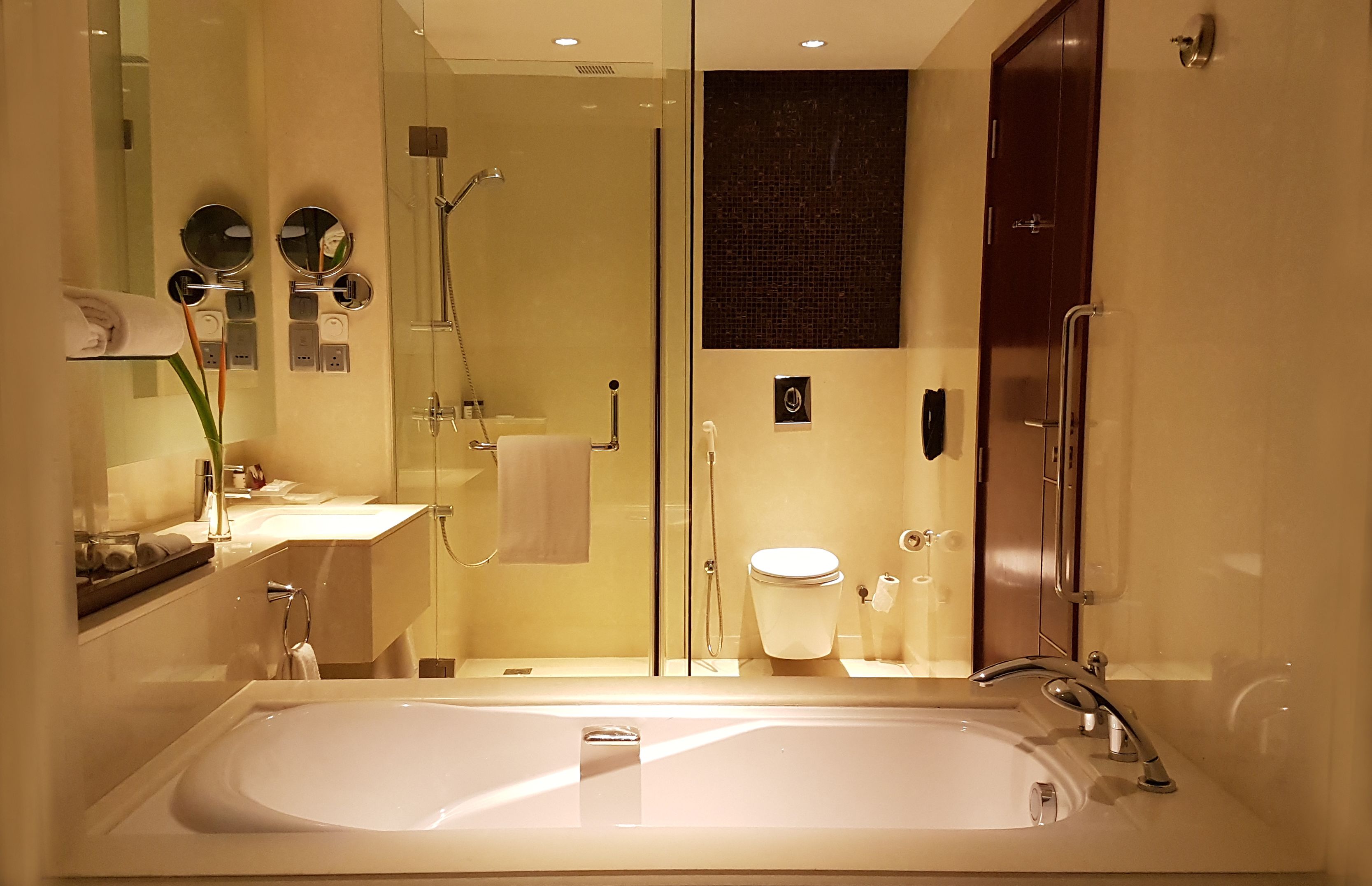 A modern bathroom with a large bathtub, a glass-enclosed shower, and a toilet.