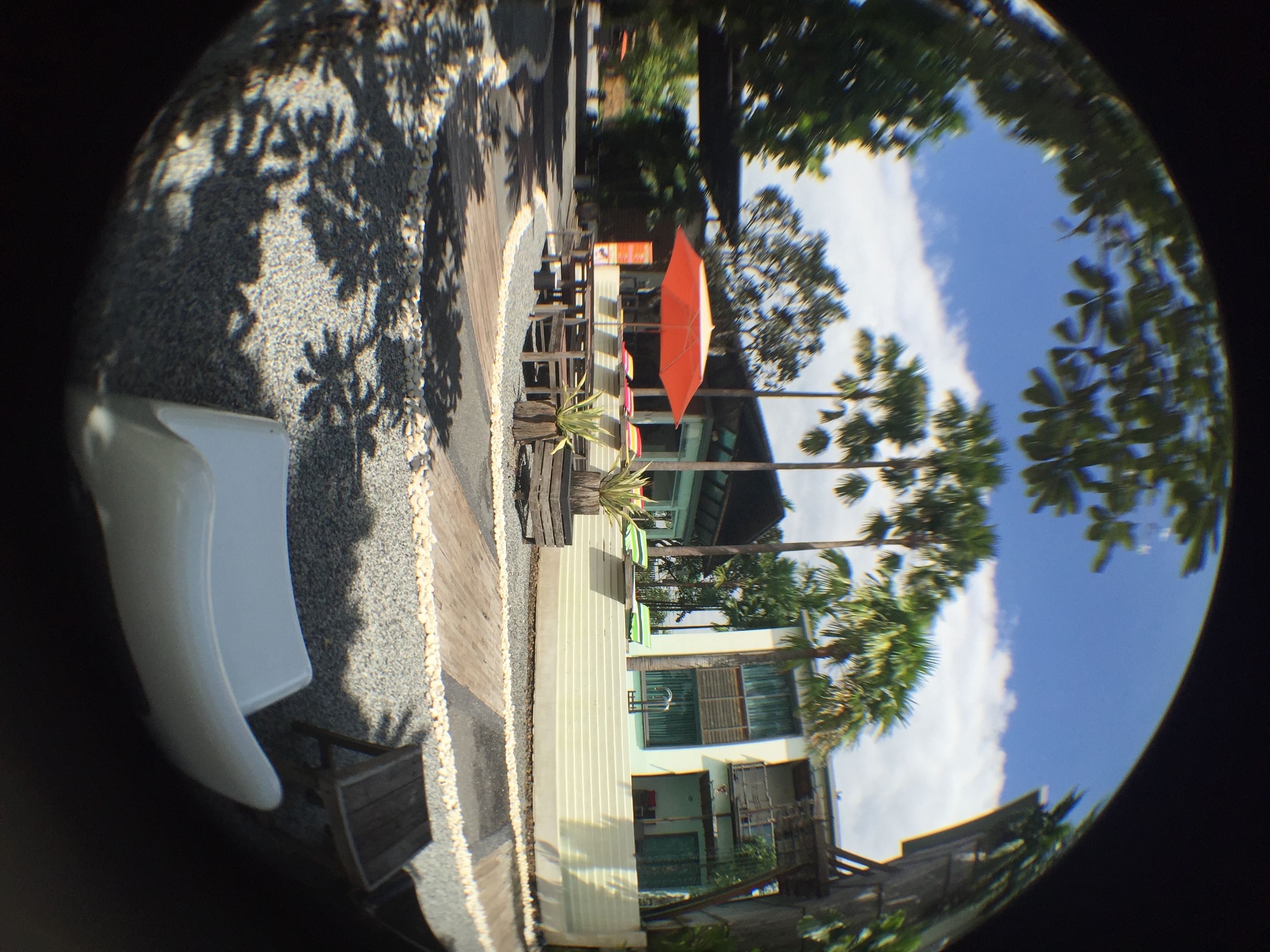Foto - Paragon Inn