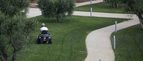 A person riding a lawn mower on a curved pathway surrounded by greenery.