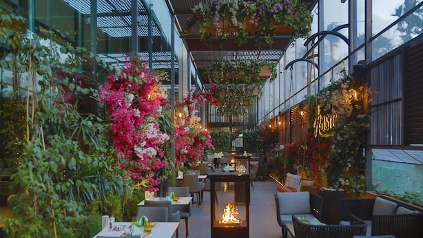 Un espace de restauration intérieur avec des tables et des chaises, entouré d’une végétation luxuriante et de plantes suspendues.