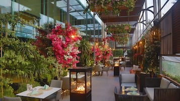 6 間餐廳,供應晚餐,國際料理