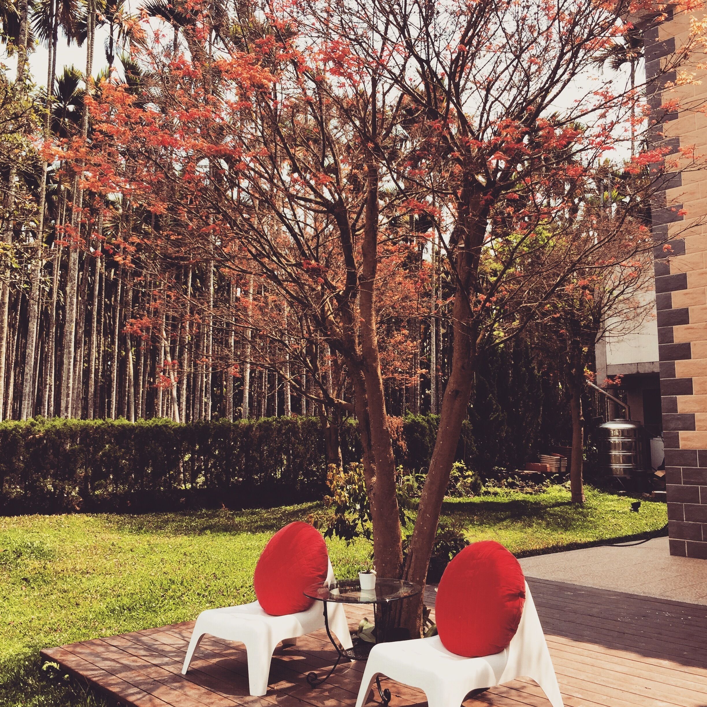 山久蒔 x 勺光｜汎札嵐渡假休閒民宿評價、特色體驗、房價資訊、訂房連結 – 南投日月潭溫馨渡假 - 照片 7