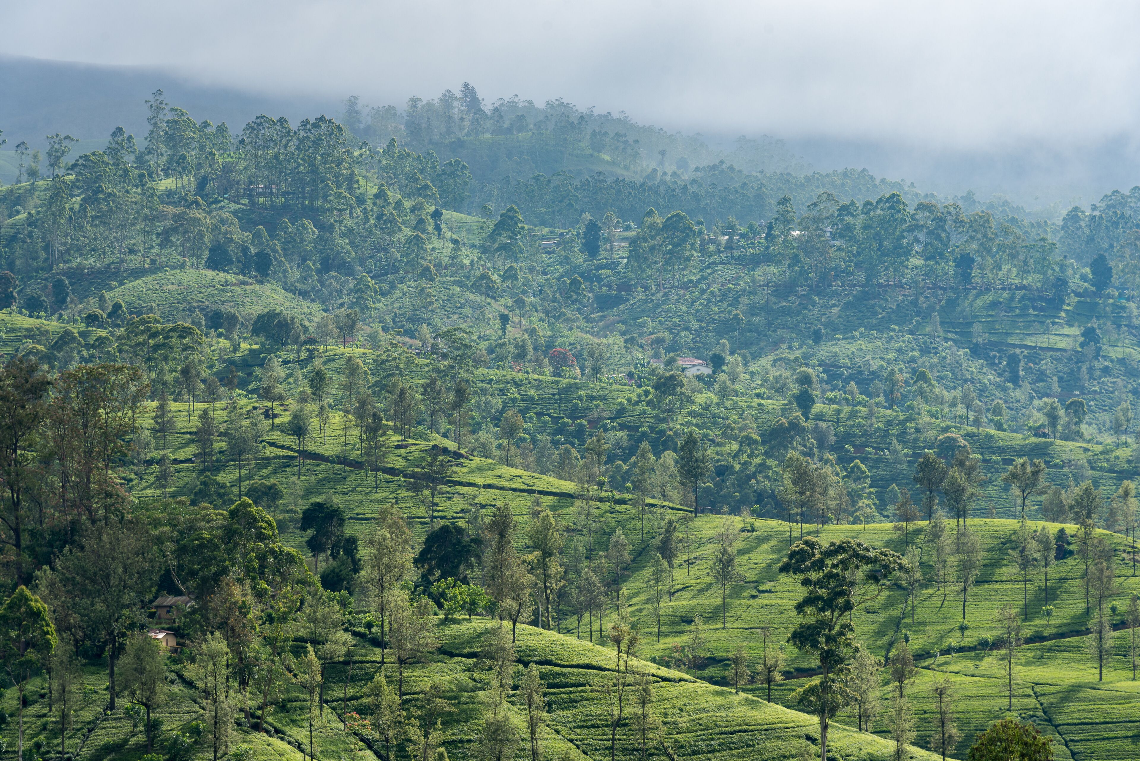 premium double room | mountain view