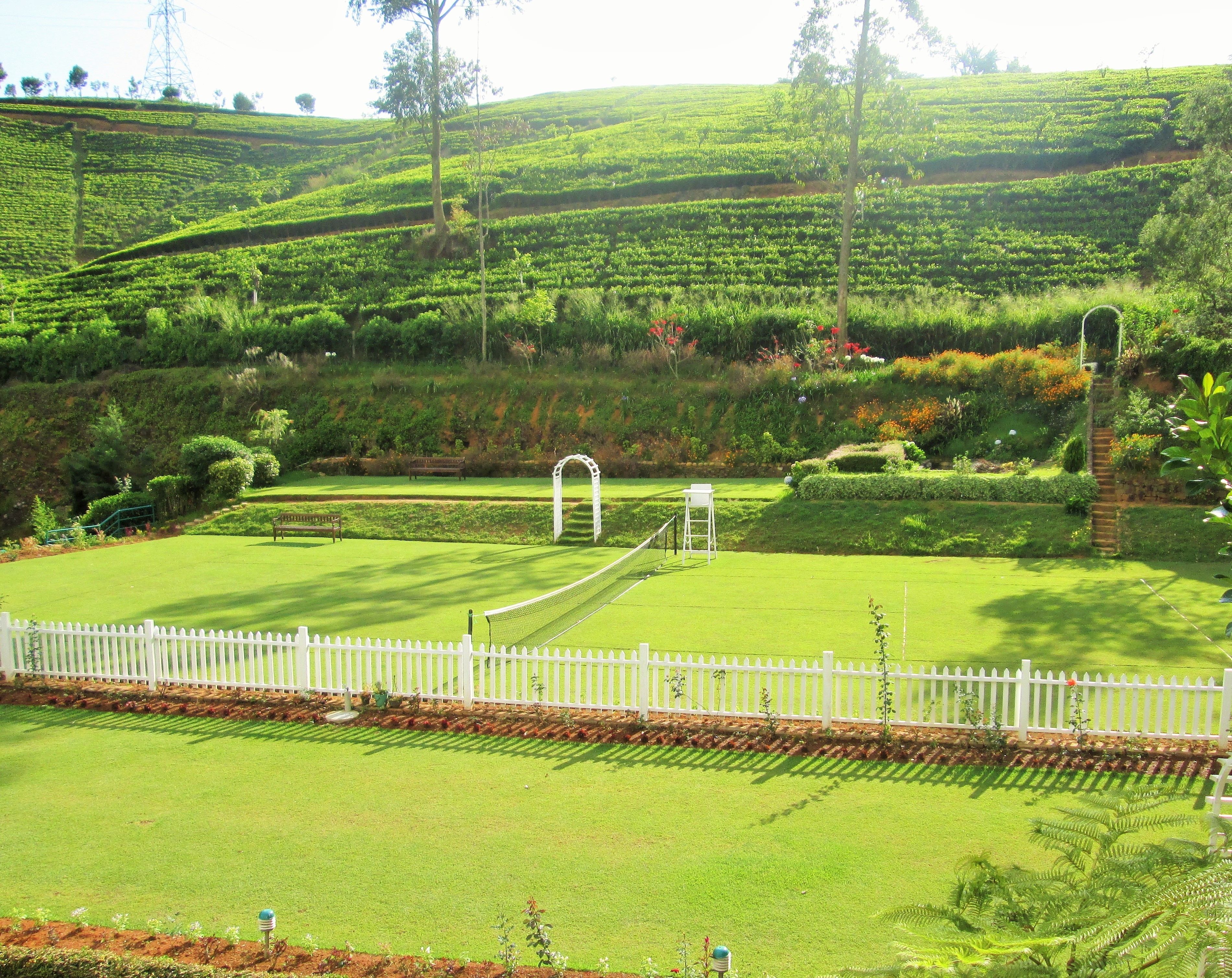 deluxe room | garden view