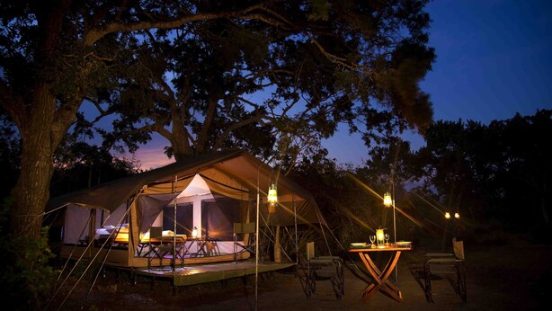 Un hébergement sous tente comprenant un espace repas, des tables et des chaises, le tout entouré d’arbres.