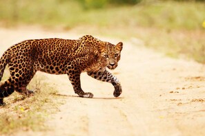 Utsikt fra overnattingsstedet