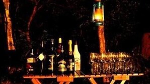 Une table en bois à l’extérieur, avec des bouteilles et des verres, entourée d’arbres.