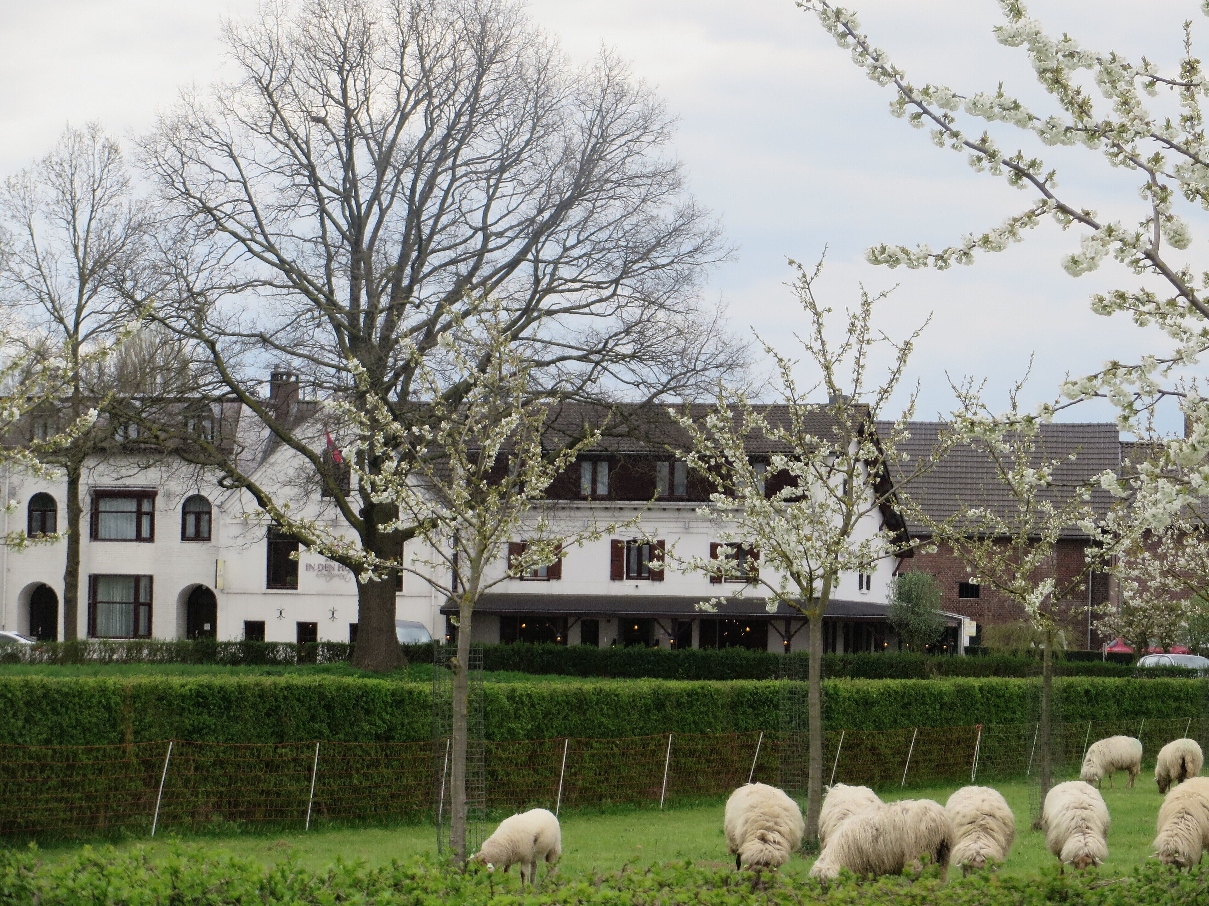 Triple Room | Street view