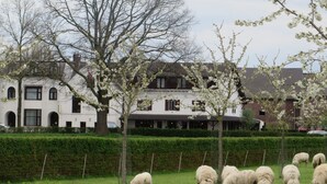 A white building with arched windows and a tree in front.