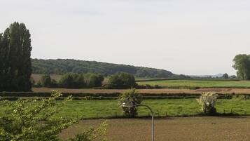 Een landelijk landschap met velden, bomen en een verre heuvel.