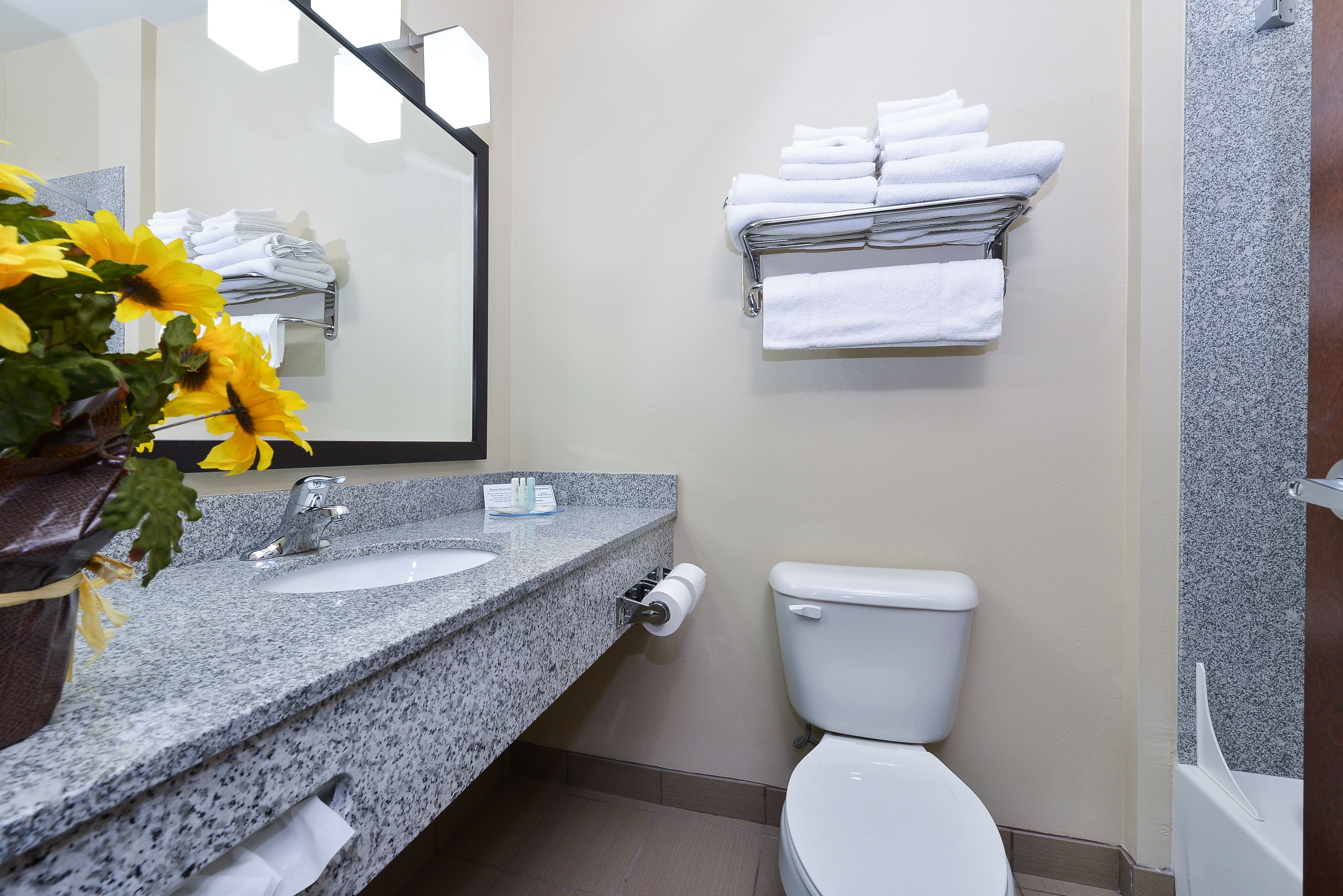 combined shower/bathtub, hair dryer, towels