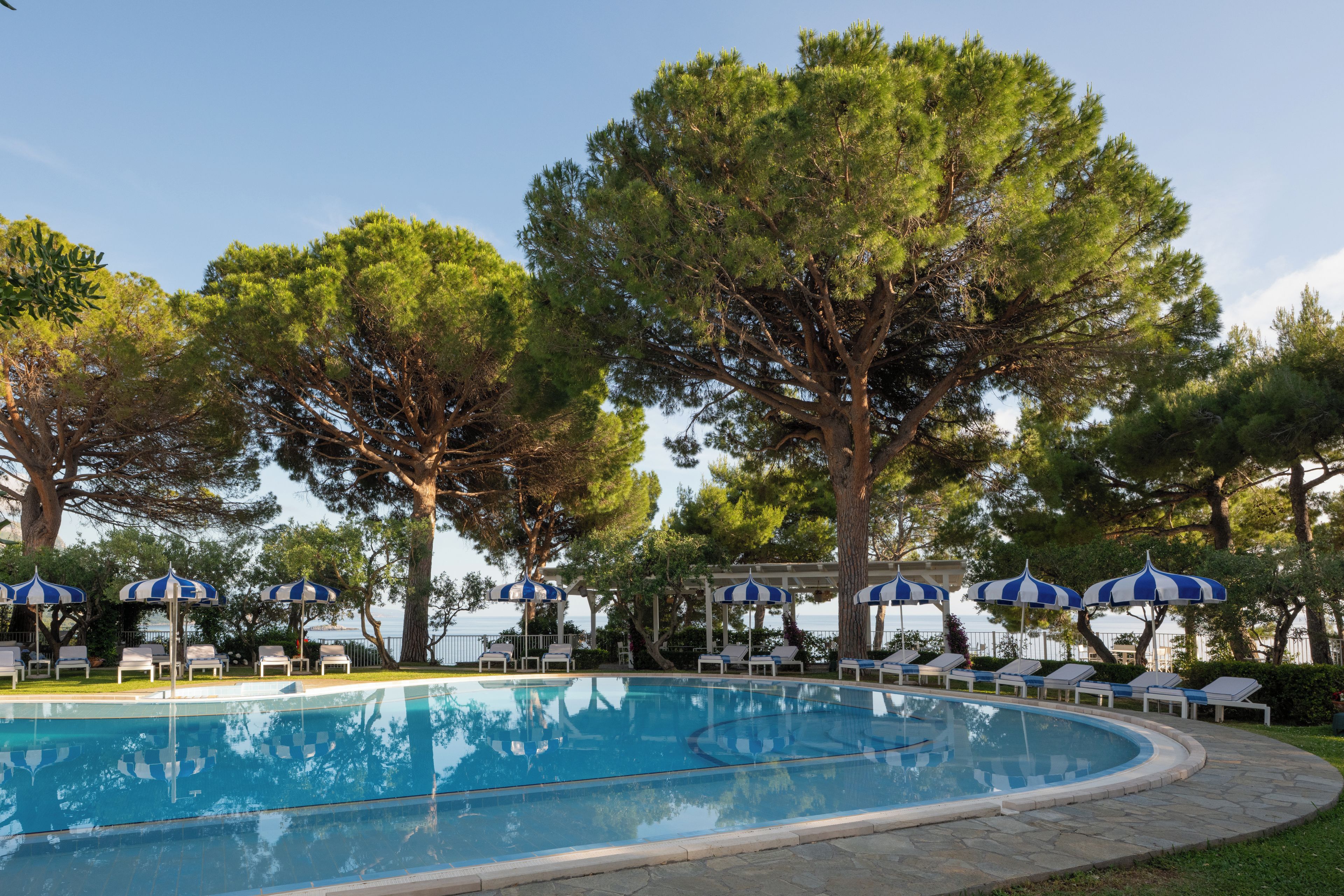 A swimming pool with lounge chairs and umbrellas, surrounded by large trees.