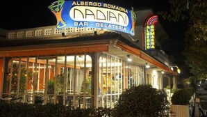 Un bar y heladería llamado 'NADIANI' con un letrero que muestra un logotipo colorido y luces de neón.