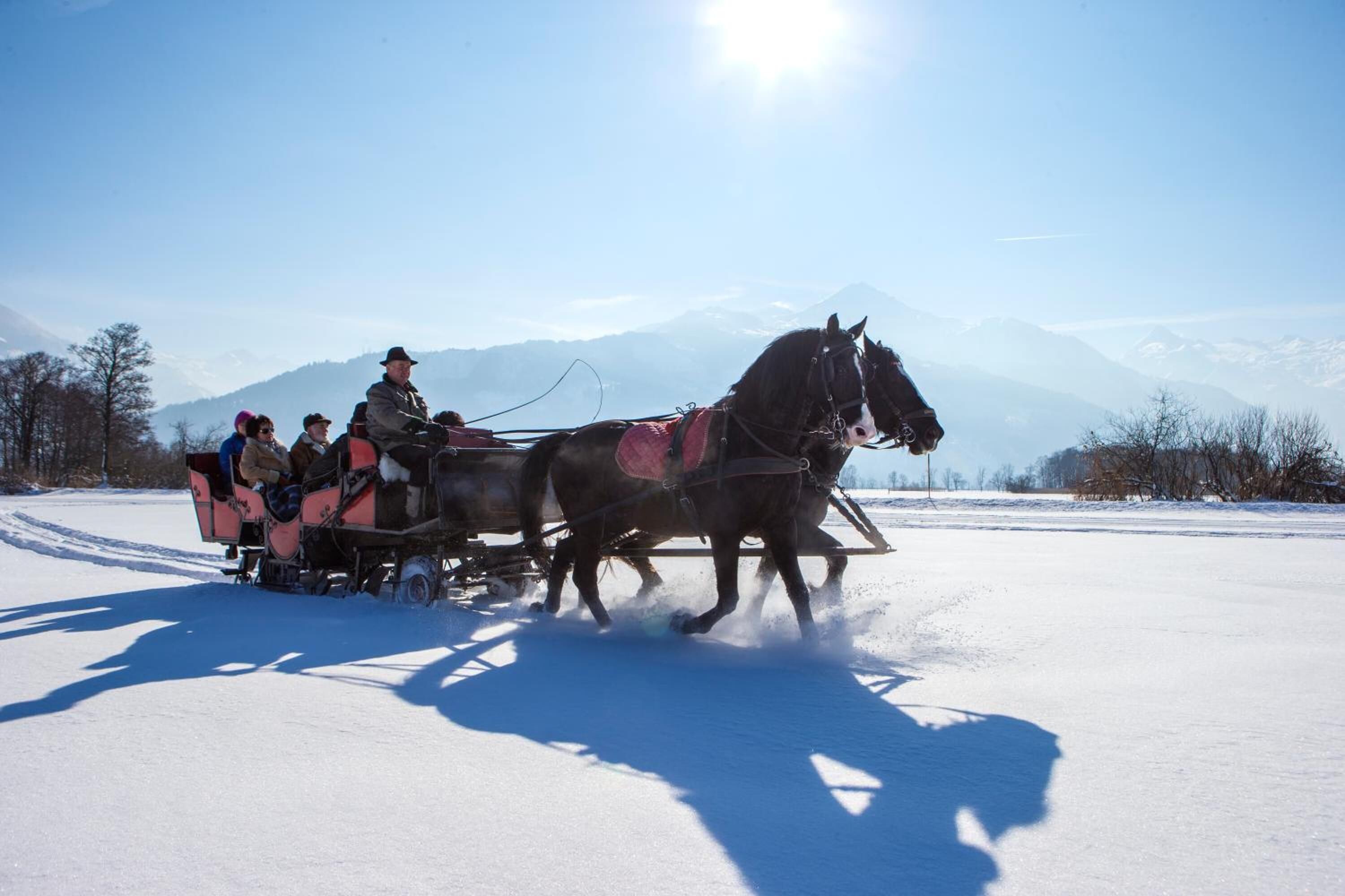 滑雪运动