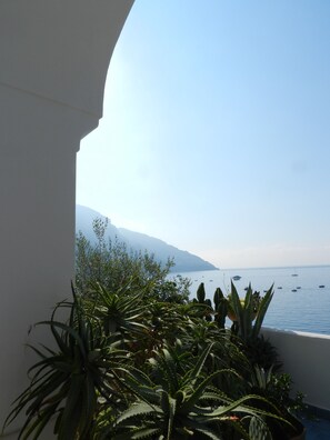 Vista desde la propiedad