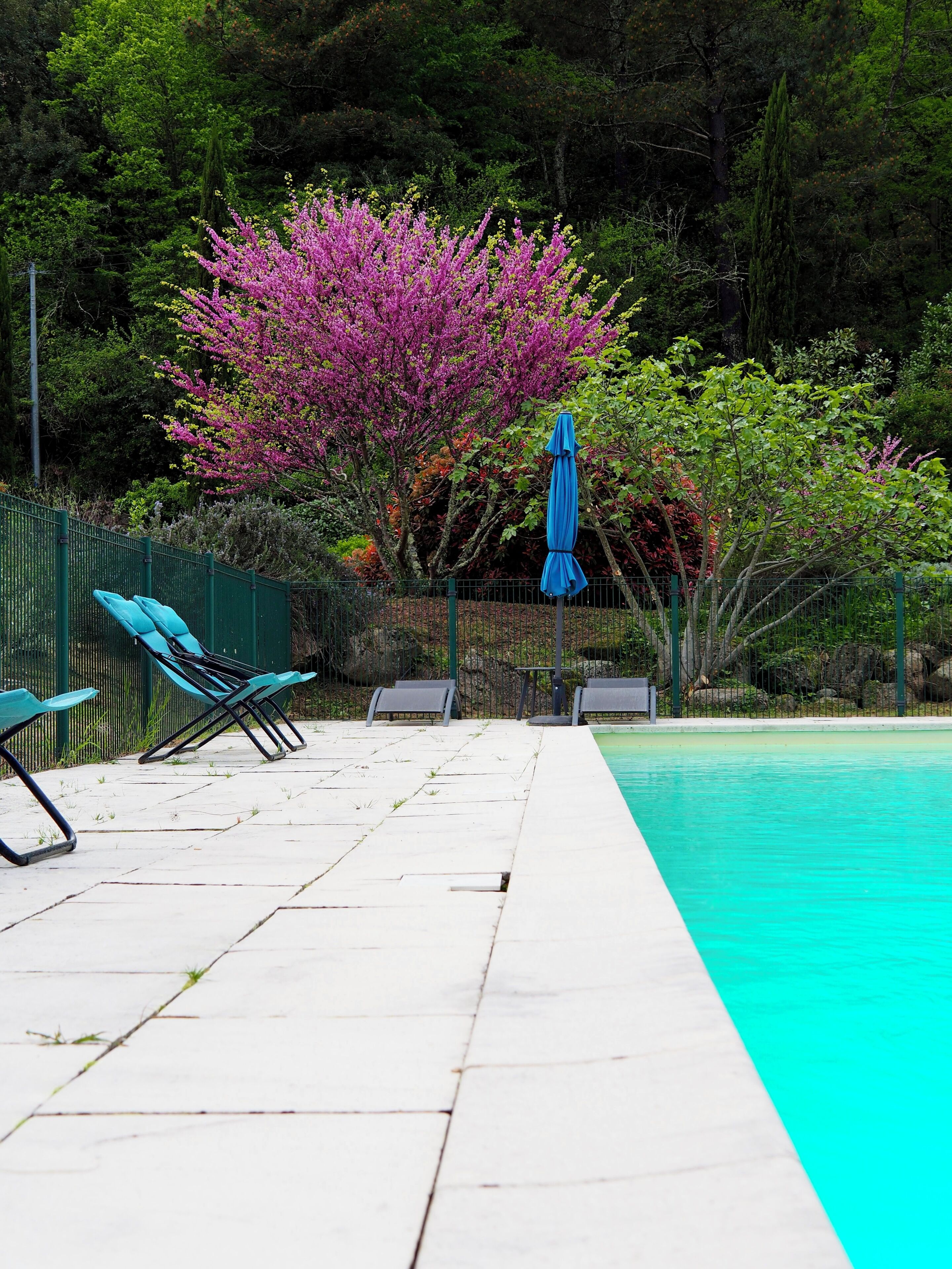 Piscine extérieure, cabanons gratuits, parasols de plage