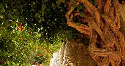Domaine de l'Eau Vive