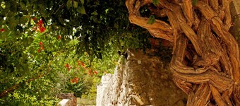 Domaine de l'Eau Vive