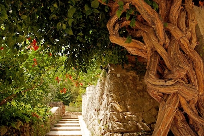 Domaine de l'Eau Vive