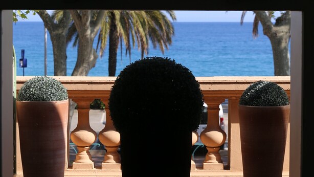 Una ventana con vista al mar, palmeras y plantas en macetas.