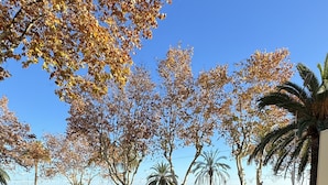 Una terraza con una mesa y dos sillas, con vista a una zona costera con árboles y un cielo despejado.