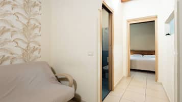 Basic Apartment, 1 Double Bed with Sofa bed | Minibar, individually decorated, individually furnished, desk