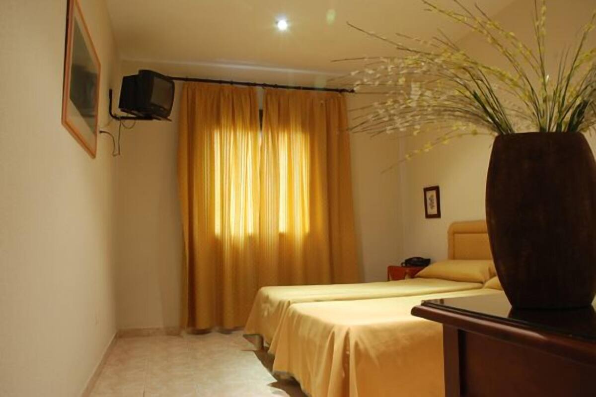 A room with two beds, a large plant, a television, and a curtain.