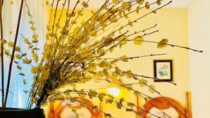 A room with a bed, a wooden chair, and a vase with branches. - Hostal León (Trujillo)