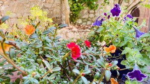 A garden with various flowering plants and a stone wall in the background. - Hostal León (Trujillo)