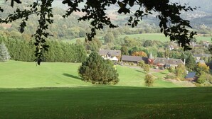 Ländliche Landschaft mit einem großen, grünen Feld, einem markanten Baum und mehreren Gebäuden im Hintergrund.