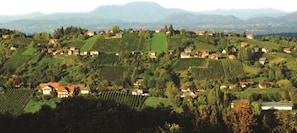 Land view from property