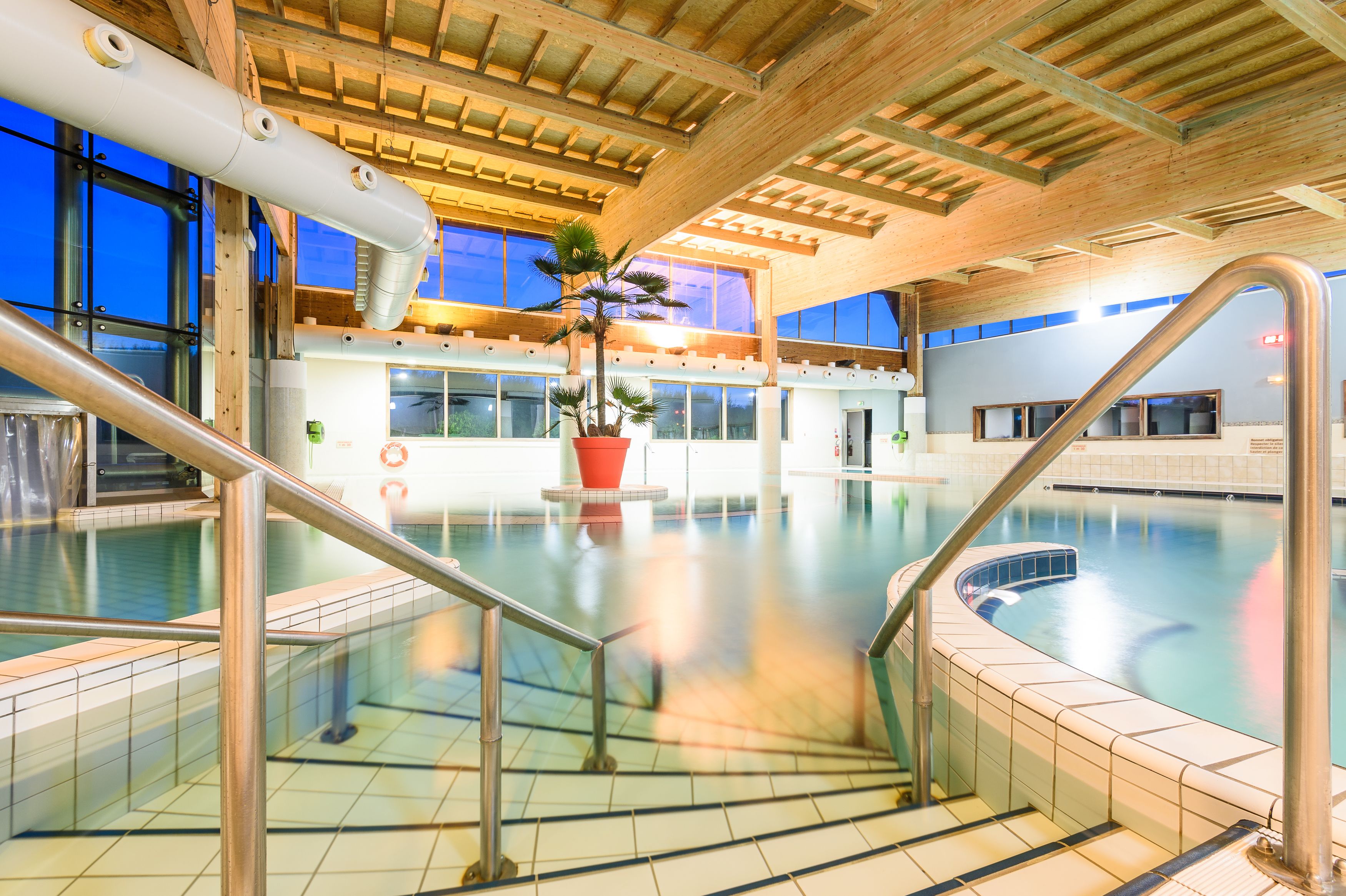 En indendørs swimmingpool med glasvægge, træloft og en potteplante i midten.