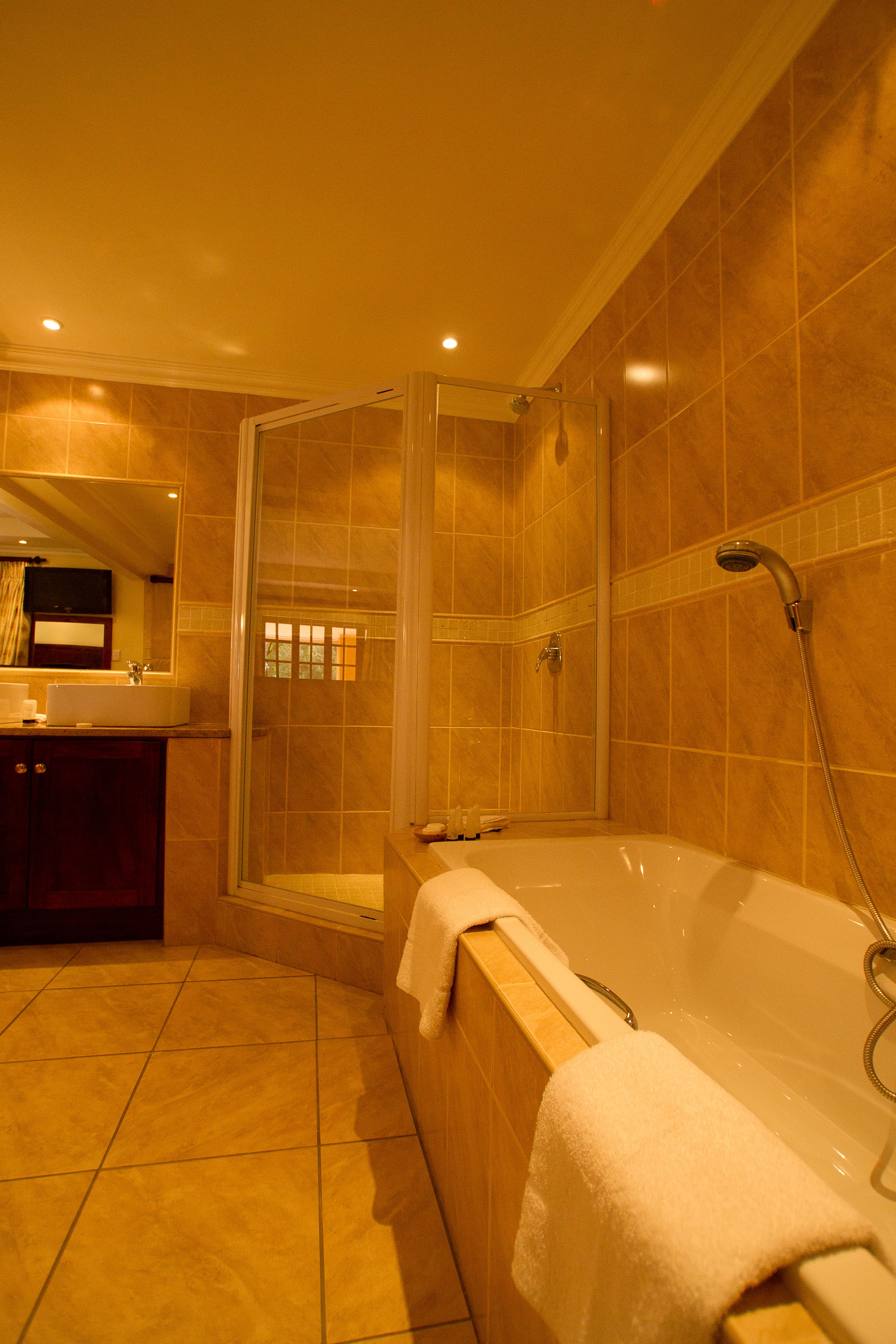 deluxe room | bathroom | free toiletries, towels