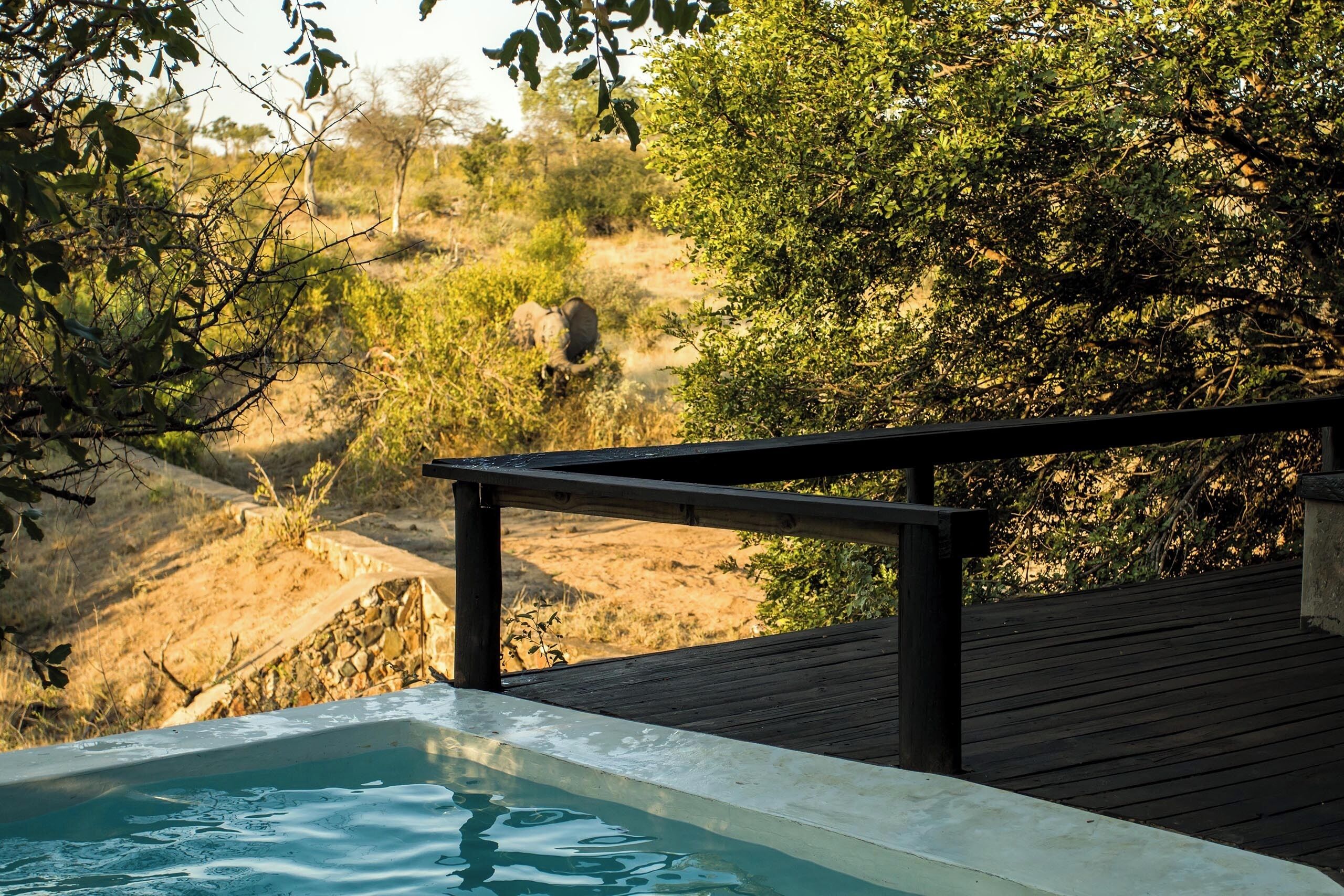 Luxury Suite, Billy's Lodge | Vista do quarto