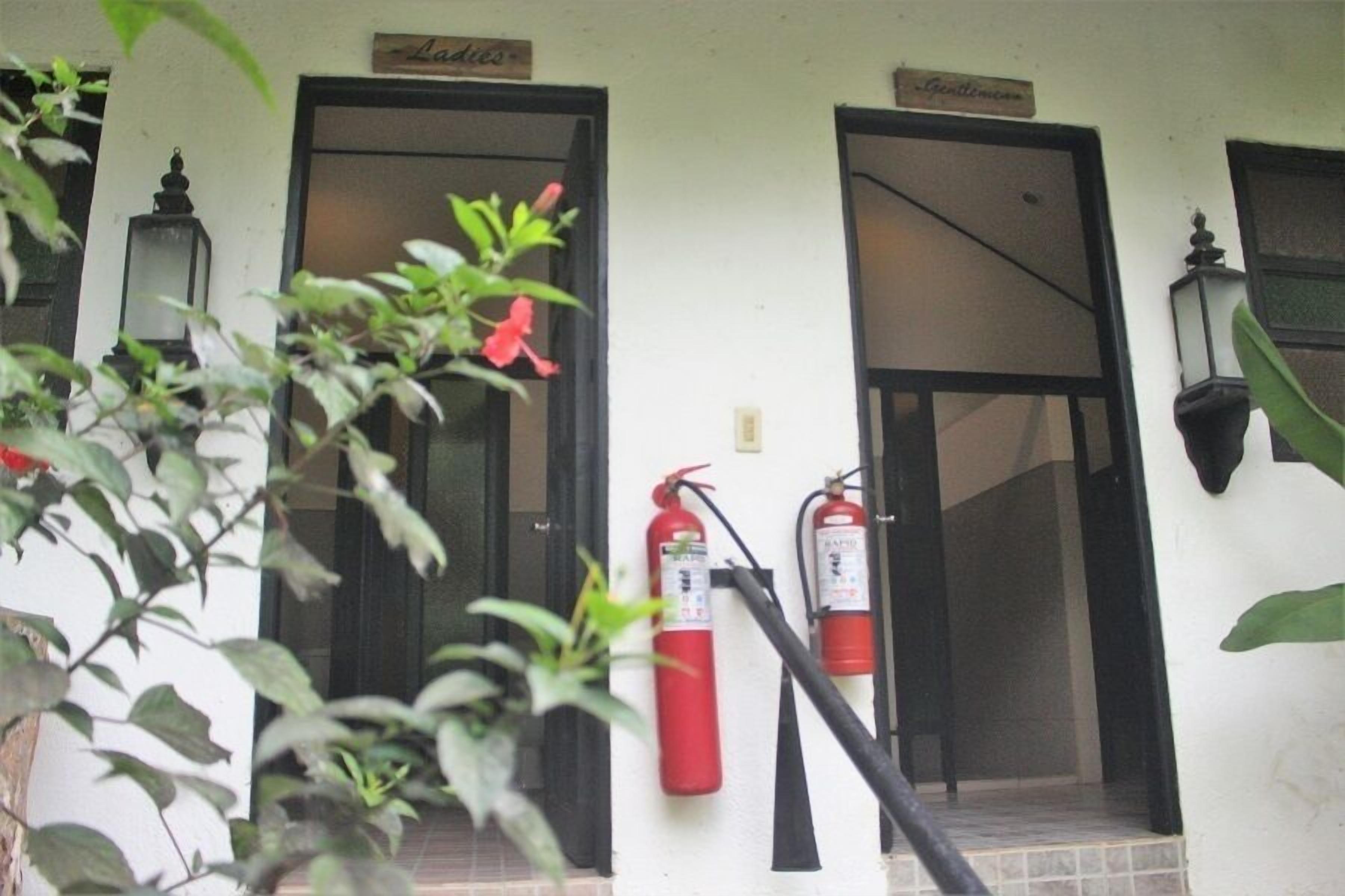 A building entrance with two fire extinguishers mounted on the wall, a sign above the door, and a potted plant in the foreground.
