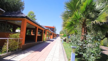 Outdoor banquet area