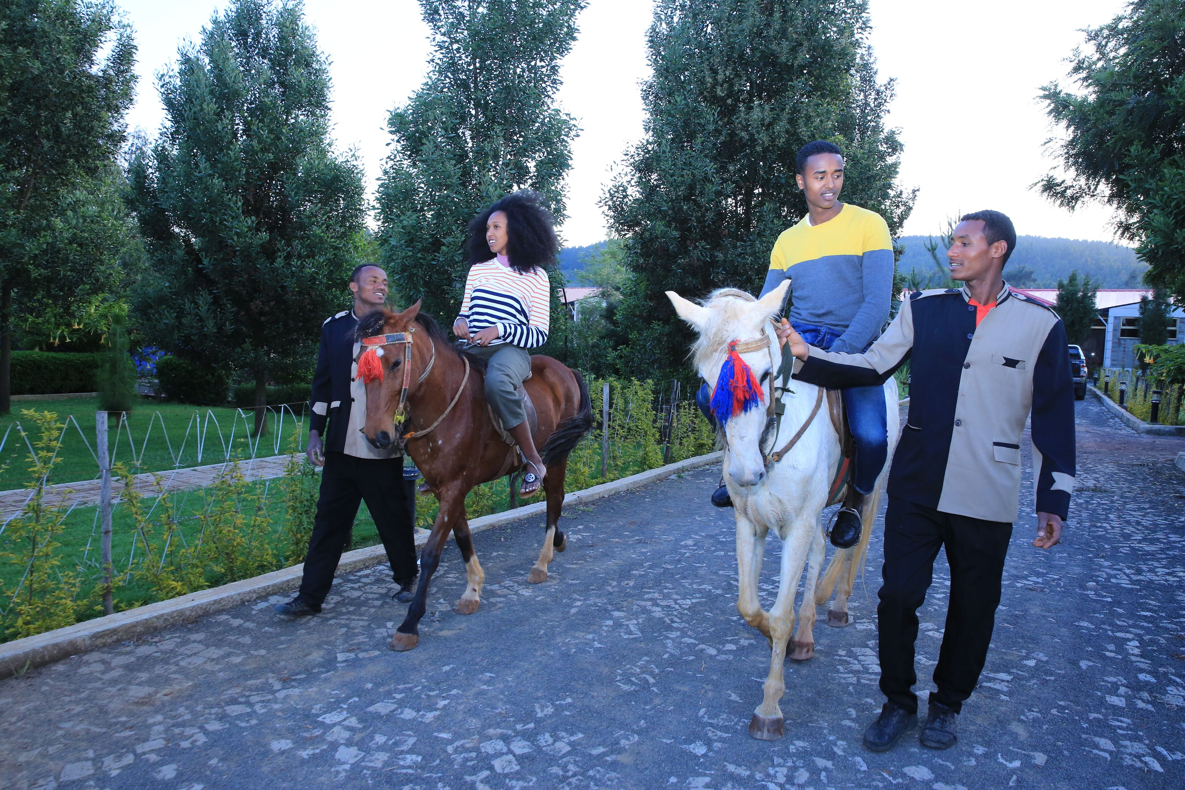 Ridning
