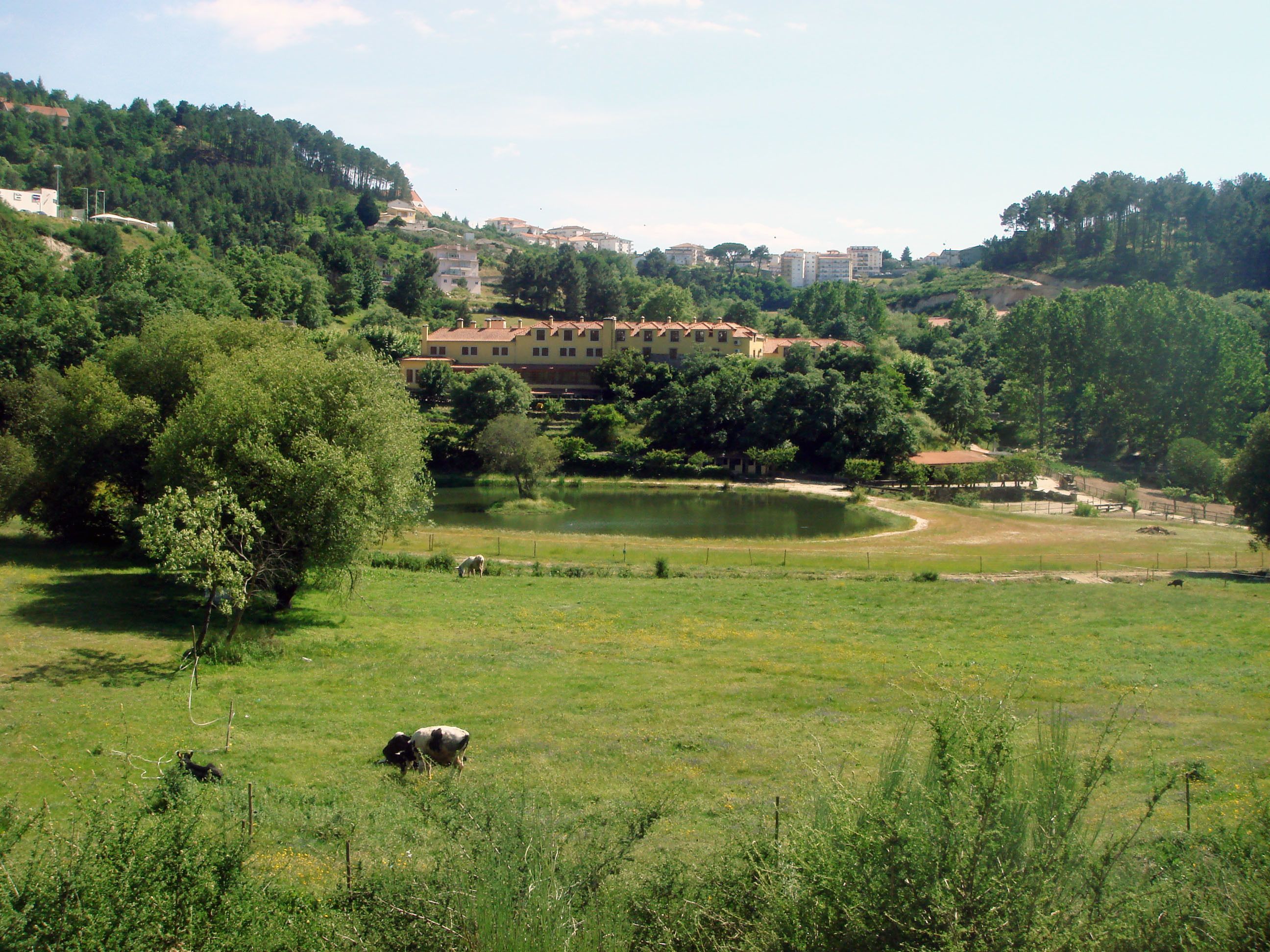 Un paysage rural avec un étang, des vaches qui paissent et un groupe de bâtiments situés sur une colline.