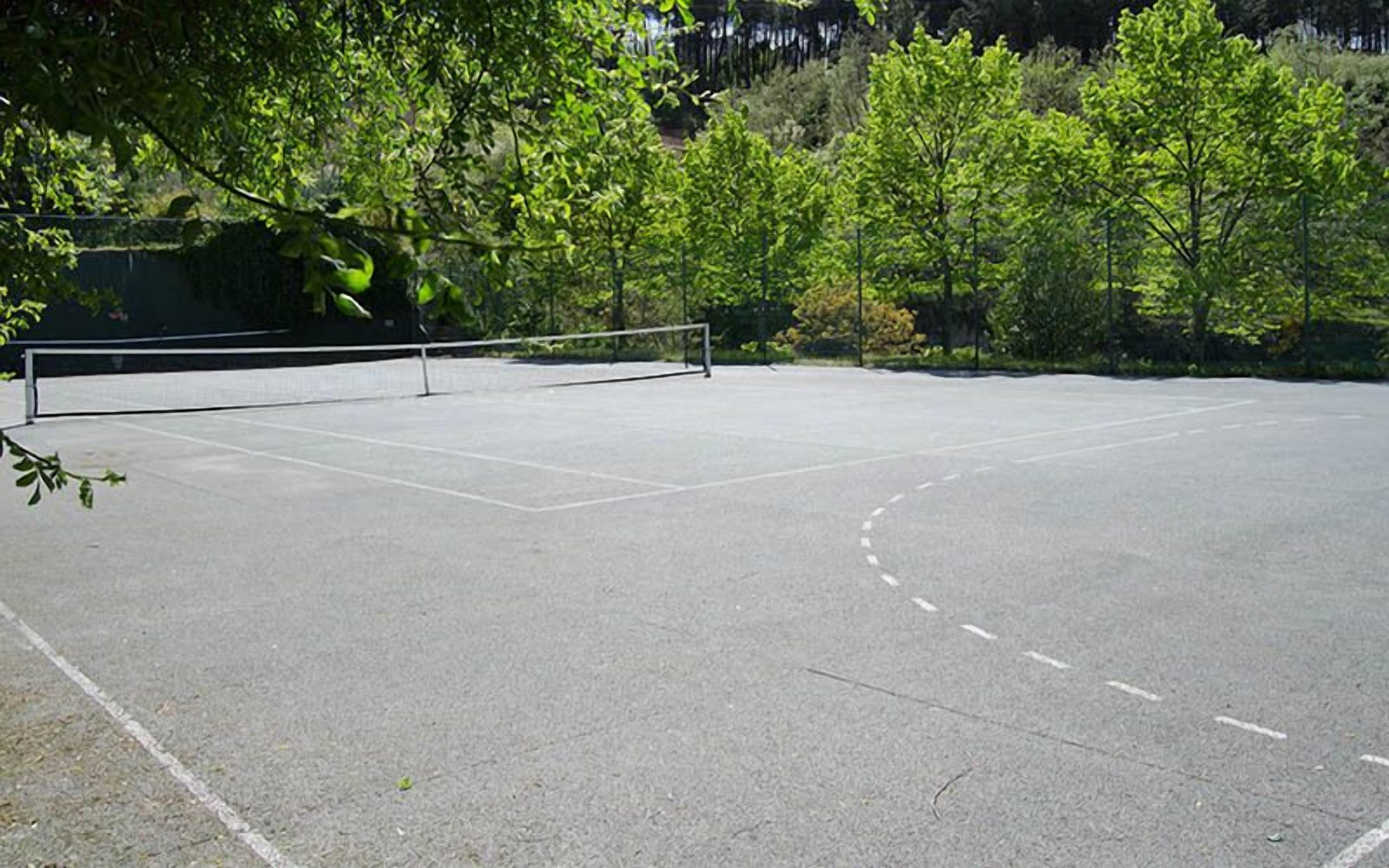 An empty tennis court with a net in the center, surrounded by trees.