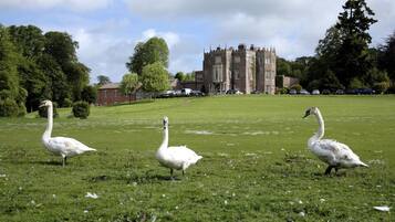 Un campo cubierto de hierba con tres cisnes y un castillo al fondo.