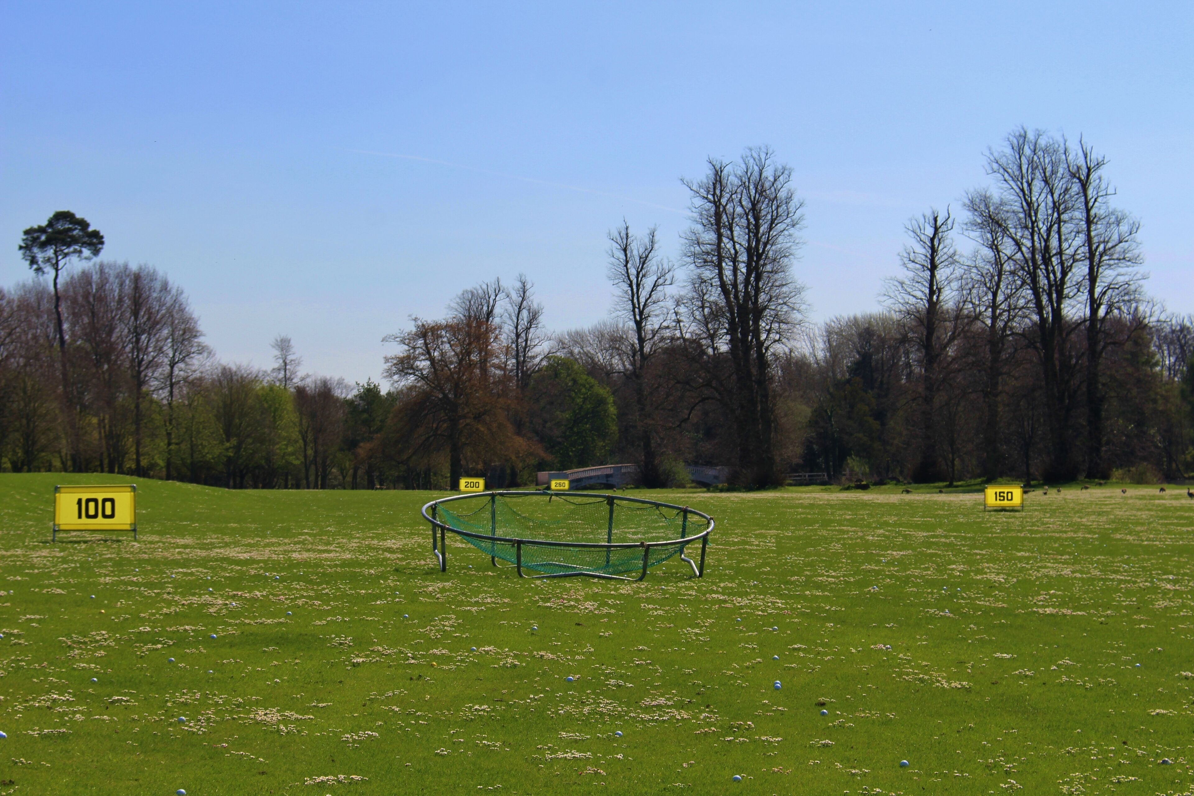 A golf course with a circular green, numbered markers, and trees in the background.