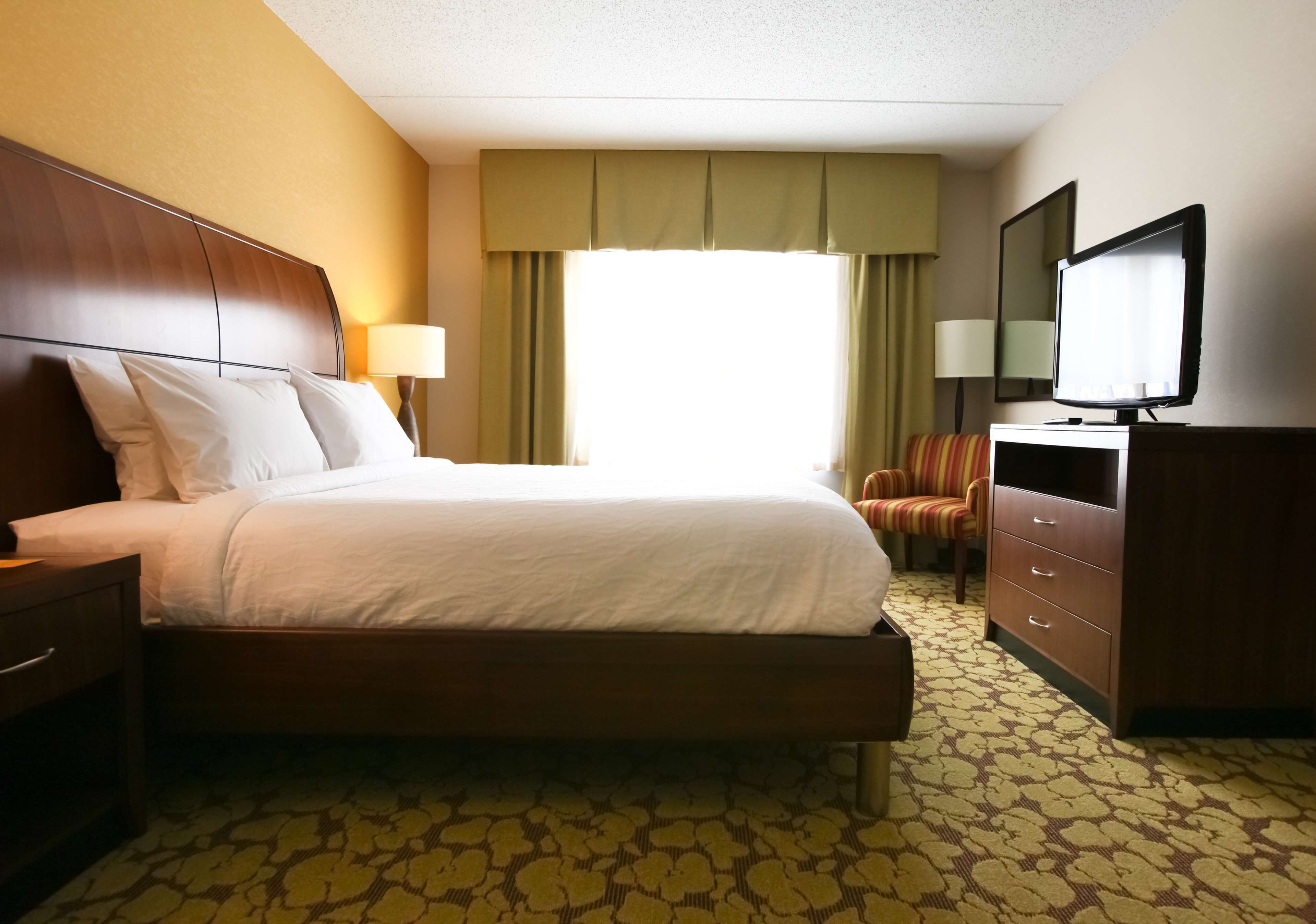suite, 1 king bed | hypo-allergenic bedding, in-room safe, rollaway beds, free wifi