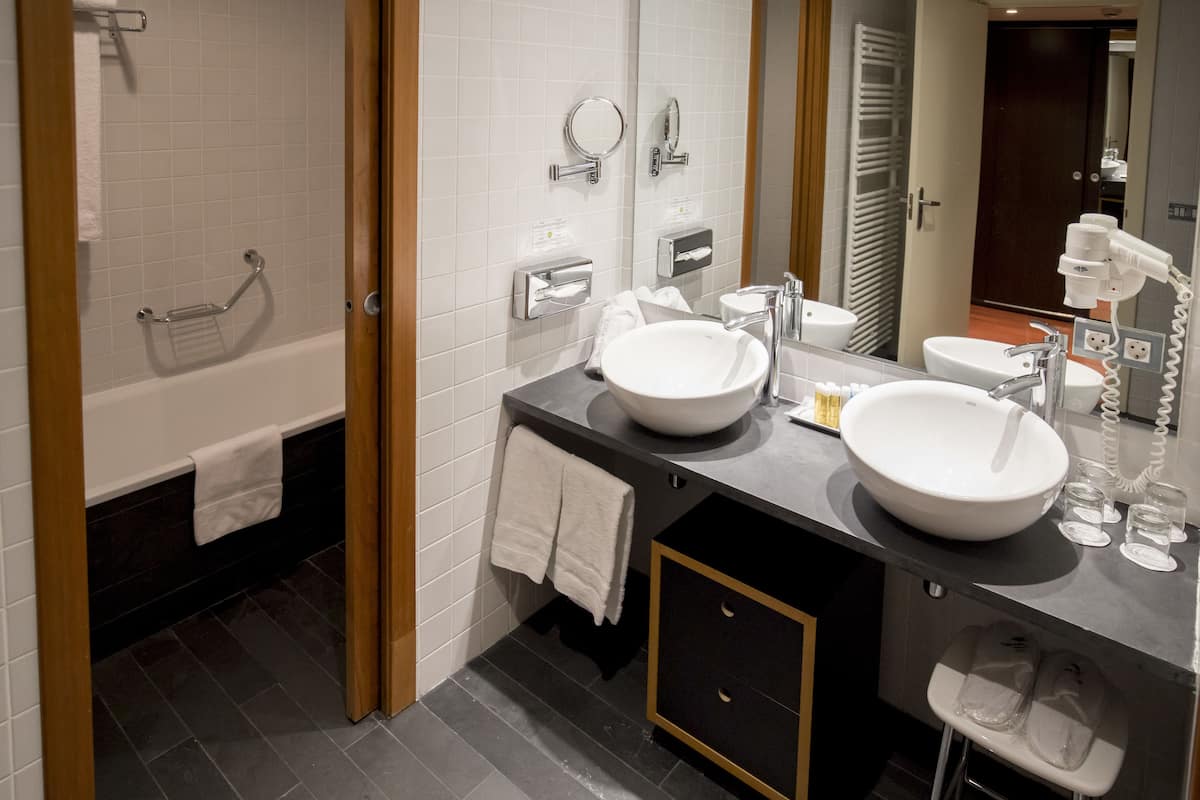 combined shower/bathtub, free toiletries, hair dryer, towels