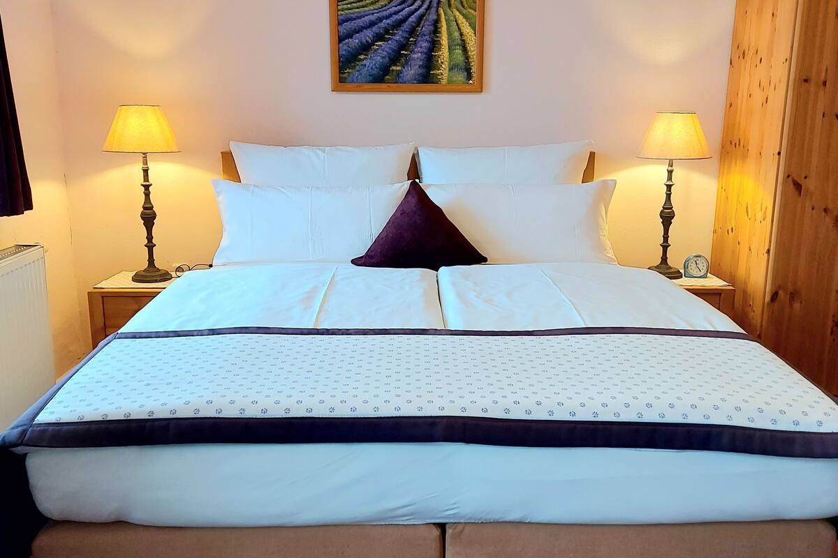 standard double room | 1 bedroom, hypo-allergenic bedding, minibar, individually decorated
