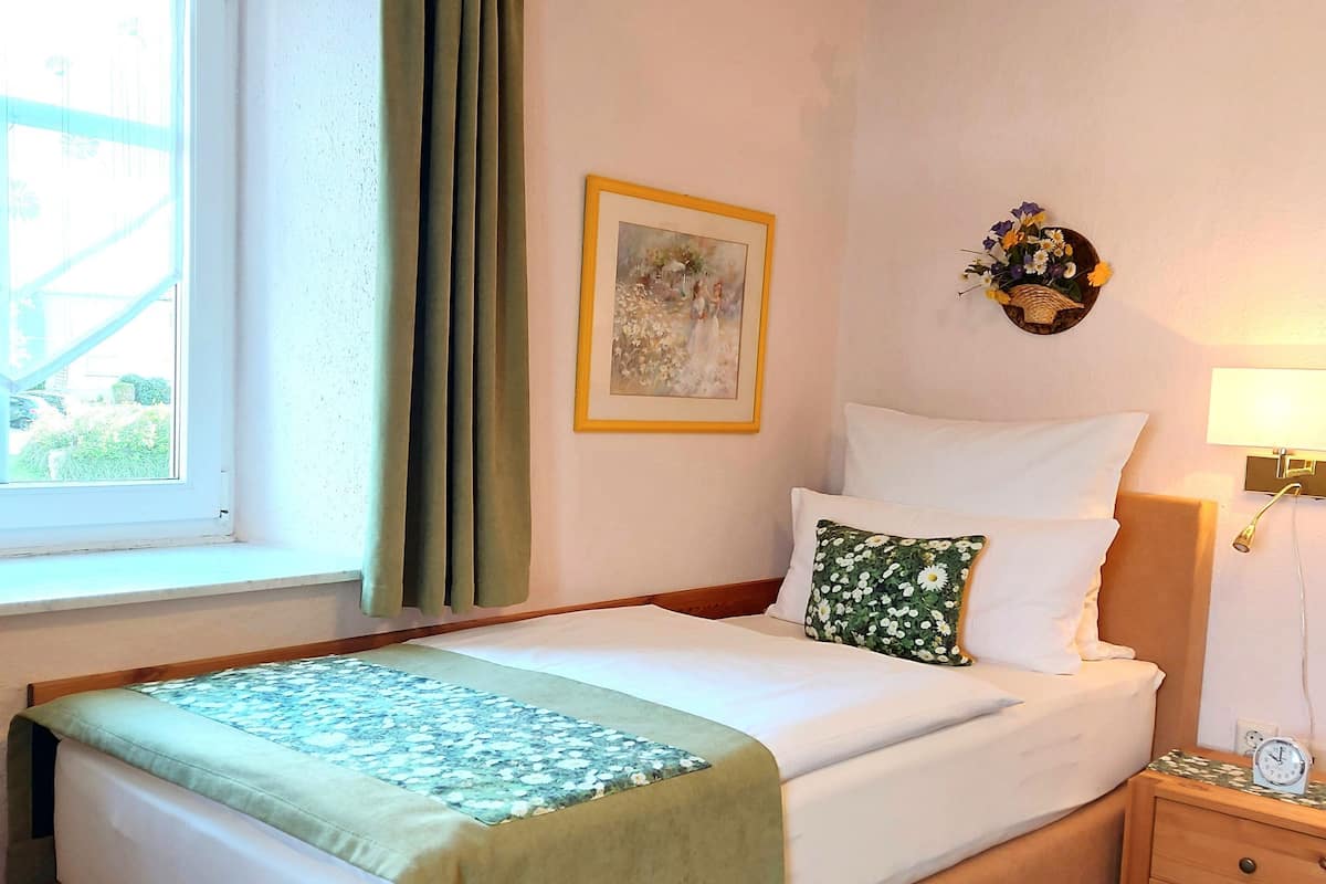 Habitación individual básica, para no fumadores | Ropa de cama hipoalergénica, minibar y decoración personalizada